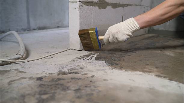 24/7 Emergency Waterproofing experts in Rosebush, MI